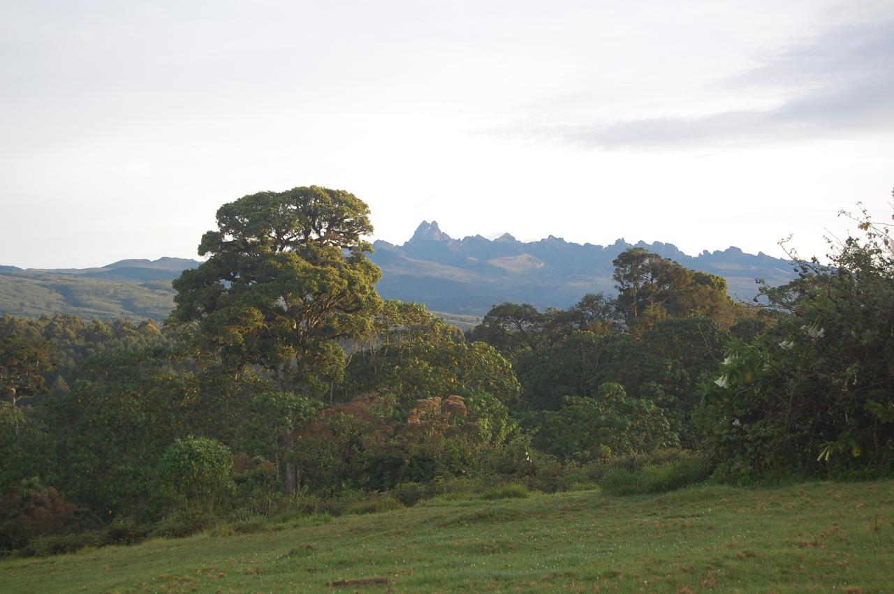 Castle Forest Lodge Mount Kenya National Park Ngoại thất bức ảnh