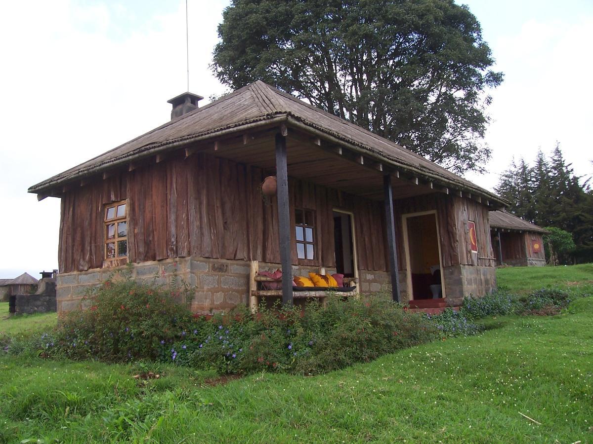 Castle Forest Lodge Mount Kenya National Park Ngoại thất bức ảnh