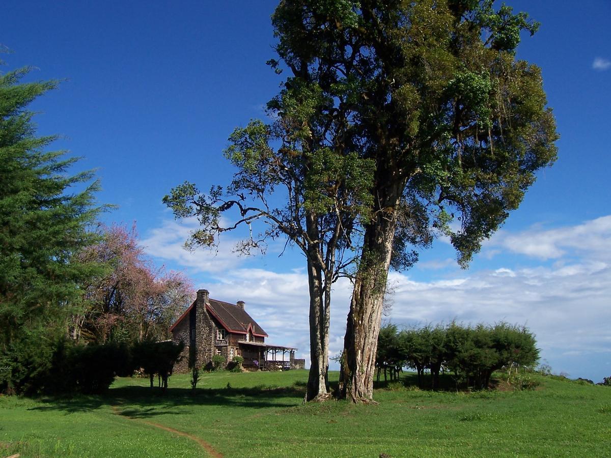 Castle Forest Lodge Mount Kenya National Park Ngoại thất bức ảnh