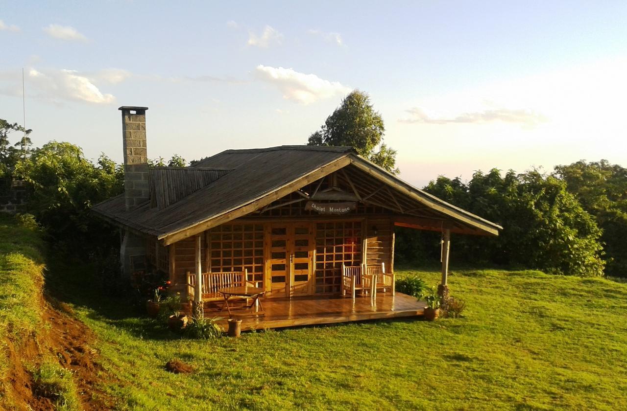 Castle Forest Lodge Mount Kenya National Park Ngoại thất bức ảnh