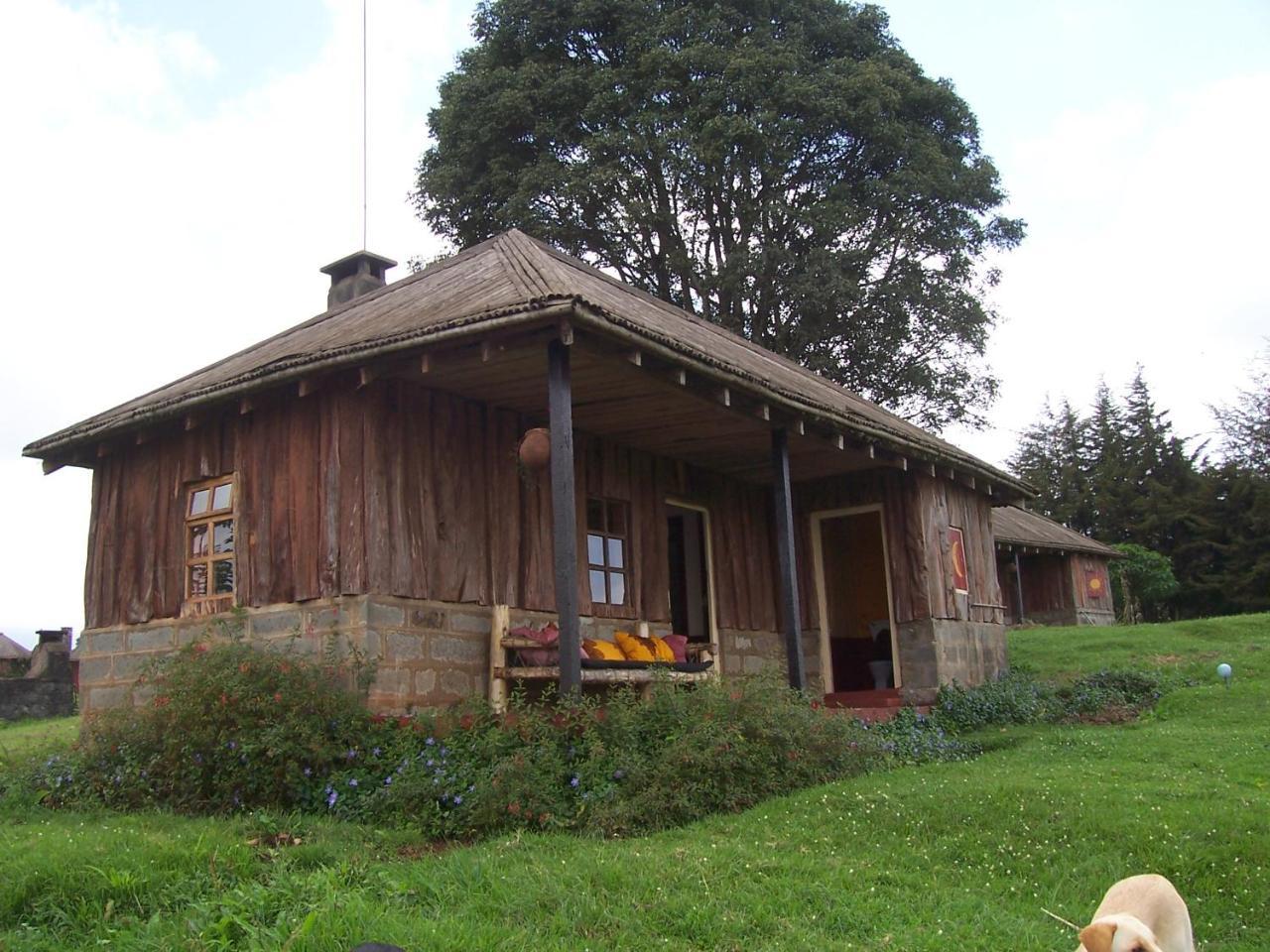 Castle Forest Lodge Mount Kenya National Park Ngoại thất bức ảnh